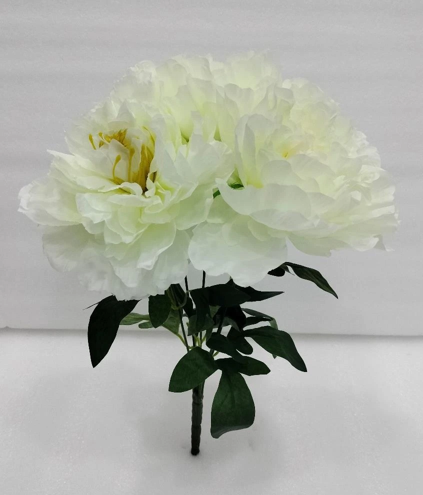 Big Open Peony Bunch x 5